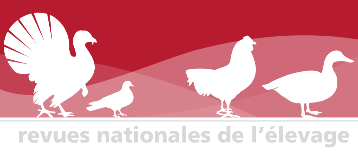 La filière avicole au Mali - FAO